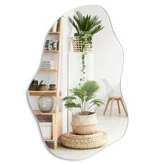 a mirror that has a plant in it and some shelves on the wall behind it