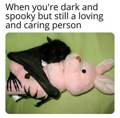 a pink stuffed animal with a bat on it's back and caption that reads, when you hella goth and you fall in love with a normal