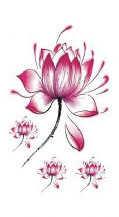 a pink flower on a white background with water lilies in the foreground and three smaller flowers behind it