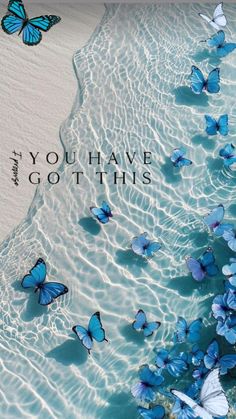 there are many blue butterflies floating in the water and one is saying, you have got this