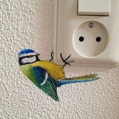 a blue and yellow bird painted on the wall next to a white electrical outlet cover