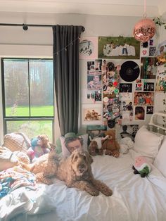 #dog #aesthetic #bedroom #posters #onedirection #bed #room #decor #skateboard #lights #vinyl Aesthetic Bedroom Posters, Dream Dorm, Dog Aesthetic, Dream Room Inspiration, Bedroom Posters, Cozy Room, Room Inspiration Bedroom, Aesthetic Bedroom