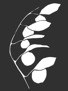 a black and white drawing of leaves on a dark background