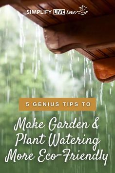 the words genius tips to make garden and plant watering more eco - friendly