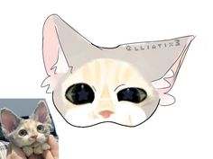 an image of a cat with big eyes on it's face next to a cutout