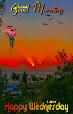 a pink bird flying over the ocean at sunset with words good morning happy wednesday on it