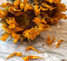 the sunflowers are still blooming on the marble counter top, and they have fallen to the ground