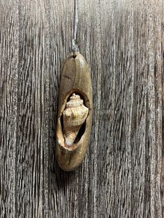 a piece of wood with a shell hanging from it's side