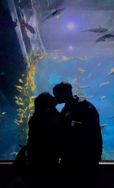 Aquarium date couple picture ideas 🐟🐠 San Francisco #aquarium #aquariumaesthetic #aquariumideas #aquariumwater #aquariumdate #aquariumdateaesthetic #aquariumpictures #aquariumpicturesideas couples goals #coupleportrait #coupleromantic  #sanfrancisco #bayarea  #pictureideas #couple aesthetic #poses  #unique Couple Picture Ideas, Date Couple, Aesthetic Poses, I Will Love You, Georgia Aquarium