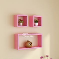 two pink shelves on the wall with plants in them and a potted plant next to it