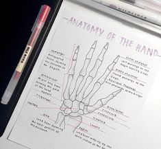 an open notebook with a diagram of the hand on it and a marker next to it