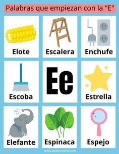 the spanish alphabet with pictures of animals, plants and other things to describe in it