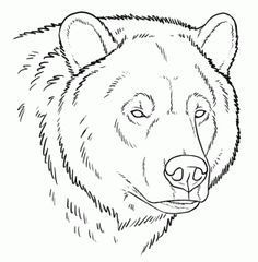 a black and white drawing of a bear's head