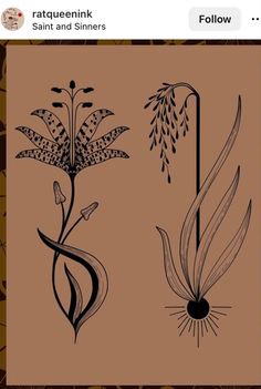 an image of flowers and plants on a brown background with the caption's name below it