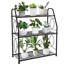 four tiered plant stand with potted plants on top and bottom shelves, black