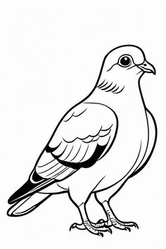 Pigeon Coloring Page 17 for Kids Types Of Pigeons, Flamingo Coloring Page, Vegetable Animals, Bird Coloring, Kids Vegetables, Bird Coloring Pages, Exotic Birds, Tropical Birds