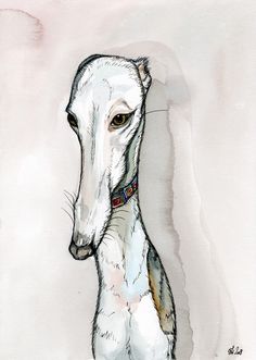 a drawing of a white dog with brown eyes and a collar on it's head