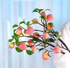 a branch with peaches on it in front of a white curtain and window sill