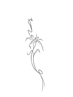 a line drawing of a flower on a white background