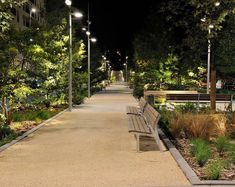 a park bench sitting on top of a sidewalk next to trees and bushes at night