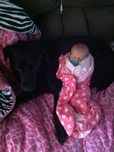 a black dog laying on top of a bed next to a baby wrapped in a blanket