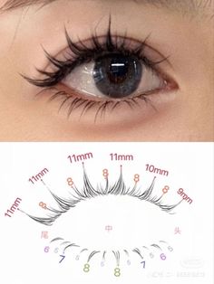 Small Eyelashes Extensions, Eyelash For Small Eyes, Small Eyes Eyelash Extensions, Spikey Lash Map, Lash Map For Small Eyes, Baby Doll Lashes, Eyelashes For Small Eyes, Asian Eyelash Extensions, Dolly Lashes