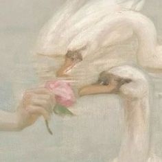 a painting of a white swan holding a pink rose