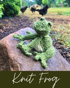 a crocheted frog sitting on top of a rock in front of some chickens