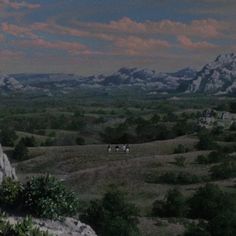 two horses grazing in an open field with mountains in the background