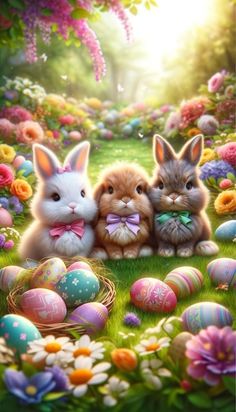 Happy Easter Bunny Images, Happy Easter Messages, Easter Bunny Pictures, Easter Paintings, Easter Rabbits, Easter Messages