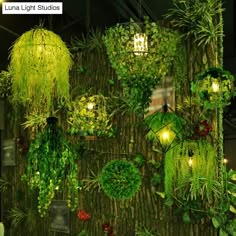 a wall covered in lots of green plants and hanging lights next to each other on top of a wooden floor