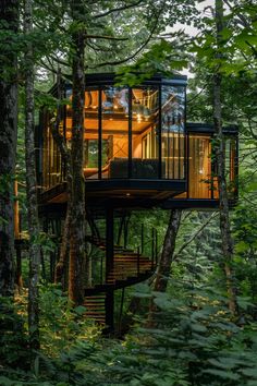 a tree house in the woods surrounded by trees