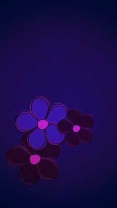 three purple flowers on a dark blue background