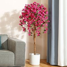 a potted plant sitting next to a couch in a living room