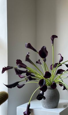 a vase filled with purple flowers on top of a white table