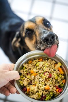 Whip up a wholesome meal for your furry friend with this delicious homemade ground turkey dog food recipe. Packed with lean protein and colorful veggies, it's the perfect way to show your pup some love. Your dog's tail will be wagging with joy at dinnertime! 🐾🍗🥕 #HomemadeDogFood #HealthyPets #DogDinner Turkey Dog Food Recipes, Ground Turkey Dog Food, Ground Turkey Dog Food Recipes, Turkey Dog Food, Turkey In Oven, Dog Meals, Turkey Stew, Veggie Plate