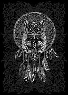 an owl with feathers in the shape of a dream catcher on a black and white background