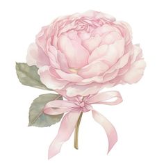 a watercolor painting of a pink peony flower with green leaves and a ribbon