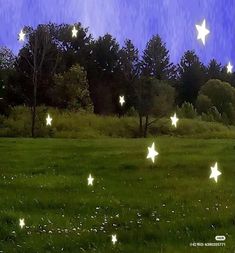 stars are flying in the sky over a grassy field