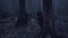 a dark forest with trees and lights in the darkness, it looks like someone is walking through the woods at night