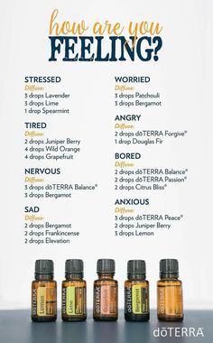 Doterra Diffuser, Helichrysum Essential Oil, Doterra Diffuser Blends, Essential Oil Diffuser Recipes, Oil Diffuser Recipes, Essential Oil Blends Recipes, Essential Oil Benefits, Diffuser Recipes, Essential Oil Diffuser Blends