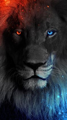 a close up of a lion's face with blue and red lights in the background