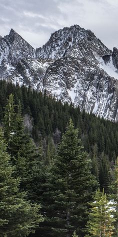 the mountains are covered in snow and pine trees