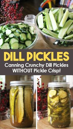 pickled cucumbers in jars with text that reads dill pickles canning crunchy dills without pickle chips