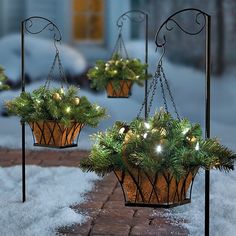 three potted plants with lights hanging from them in the snow