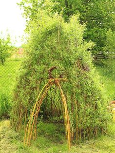 an outdoor structure made out of bamboo sticks and branches in the grass near a fence