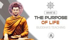 buddha statue with the words what is the purpose of life? and an image of a man