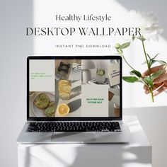 a laptop computer sitting on top of a desk next to a white flower and potted plant