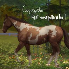 a brown and white horse is walking through the grass with trees in the background that says, coquetees paint horse pattern no 1