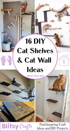 cat shelves and cat wall ideas with text overlay